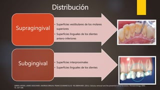 Distribución
• Superficies vestibulares de los molares
superiores
• Superficies linguales de los dientes
antero-inferiores
Supragingival
• Superficies interproximales
• Superficies linguales de los dientes
Subgingival
SØREN JEPSEN, JAMES DESCHNER, ANDREAS BRAUN, FRANK SCHWARZ & JO¨ RG EBERHARD. (2011). Calculus removal and the prevention of its formation. Periodontology 2000,
55, 167–188.
 
