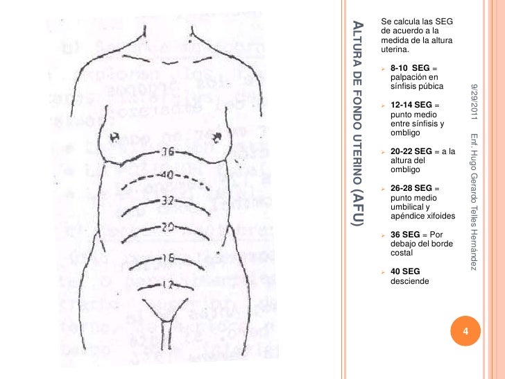 Como Crecer 10 Cm De Estatura En Una Semana