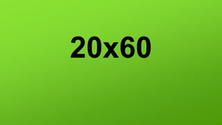 20x60
 