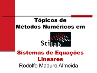 Tópicos de
Métodos Numéricos em
Sistemas de Equações
Lineares
Rodolfo Maduro Almeida
 