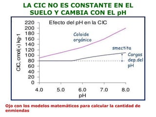 CÁLCULOS DE ANÁLISIS DE SUELOS 9-11-19 (1).pdf