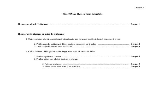 TÉLÉCHARGER CLÉ ÉTAMINE CLÉ ÉTAMINE TÉLÉCHARGER