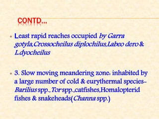 CONTD...
 Least rapid reaches occupied by Garra
gotyla,Crossocheilus diplochilus,Labeo dero &
L.dyocheilus
 3. Slow moving meandering zone: inhabited by
a large number of cold & eurythermal species-
Barilius spp.,Tor spp.,catfishes,Homalopterid
fishes & snakeheads(Channa spp.)
 
