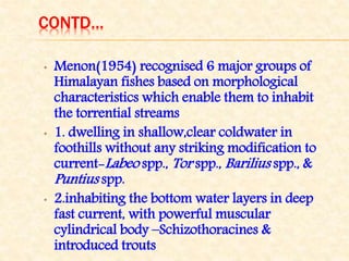 CONTD…
• Menon(1954) recognised 6 major groups of
Himalayan fishes based on morphological
characteristics which enable them to inhabit
the torrential streams
• 1. dwelling in shallow,clear coldwater in
foothills without any striking modification to
current-Labeo spp., Tor spp., Barilius spp., &
Puntius spp.
• 2.inhabiting the bottom water layers in deep
fast current, with powerful muscular
cylindrical body –Schizothoracines &
introduced trouts
 