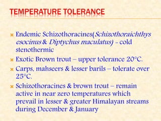 TEMPERATURE TOLERANCE
 Endemic Schizothoracines(Schizothoraichthys
esocinus & Diptychus maculatus) - cold
stenothermic
 Exotic Brown trout – upper tolerance 20°C.
 Carps, mahseers & lesser barils – tolerate over
25°C.
 Schizothoracines & brown trout – remain
active in near zero temperatures which
prevail in lesser & greater Himalayan streams
during December & January
 