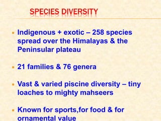 SPECIES DIVERSITY
 Indigenous + exotic – 258 species
spread over the Himalayas & the
Peninsular plateau
 21 families & 76 genera
 Vast & varied piscine diversity – tiny
loaches to mighty mahseers
 Known for sports,for food & for
ornamental value
 