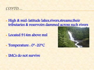 CONTD…
 High & mid-latitude lakes,rivers,streams,their
tributaries & reservoirs dammed across such rivers
 Located 914m above msl
 Temperature : 0°-20°C
 IMCs do not survive
 