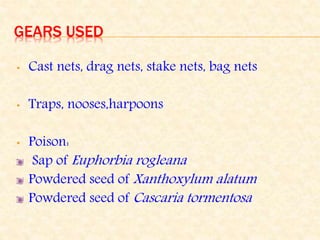 GEARS USED
• Cast nets, drag nets, stake nets, bag nets
• Traps, nooses,harpoons
• Poison:
Sap of Euphorbia rogleana
Powdered seed of Xanthoxylum alatum
Powdered seed of Cascaria tormentosa
 