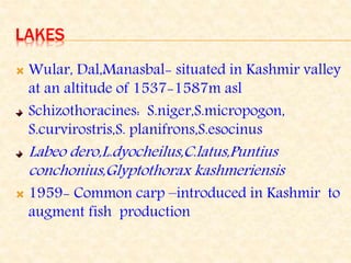 LAKES
 Wular, Dal,Manasbal- situated in Kashmir valley
at an altitude of 1537-1587m asl
Schizothoracines: S.niger,S.micropogon,
S.curvirostris,S. planifrons,S.esocinus
Labeo dero,L.dyocheilus,C.latus,Puntius
conchonius,Glyptothorax kashmeriensis
 1959- Common carp –introduced in Kashmir to
augment fish production
 