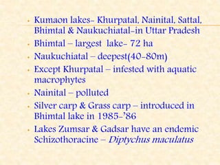 • Kumaon lakes- Khurpatal, Nainital, Sattal,
Bhimtal & Naukuchiatal-in Uttar Pradesh
• Bhimtal – largest lake- 72 ha
• Naukuchiatal – deepest(40-80m)
• Except Khurpatal – infested with aquatic
macrophytes
• Nainital – polluted
• Silver carp & Grass carp – introduced in
Bhimtal lake in 1985-’86
• Lakes Zumsar & Gadsar have an endemic
Schizothoracine – Diptychus maculatus
 