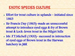 EXOTIC SPECIES CULTURE
Effort for trout culture in uplands – initiated since
1863
Sir Francis Day (1863)–made an unsuccessful
attempt to introduce eyed eggs & fry of Brown
trout & Lock-leven trout in the Nilgiri hills
Mr. F.T.Michell (1900)– succeeed in introuction
of eyed eggs of Brown trout in the Harwan
hatchery in J&K
 