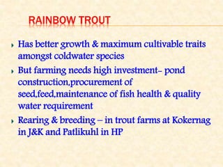 RAINBOW TROUT
Has better growth & maximum cultivable traits
amongst coldwater species
But farming needs high investment- pond
construction,procurement of
seed,feed,maintenance of fish health & quality
water requirement
Rearing & breeding – in trout farms at Kokernag
in J&K and Patlikuhl in HP
 