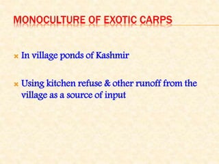 MONOCULTURE OF EXOTIC CARPS
 In village ponds of Kashmir
 Using kitchen refuse & other runoff from the
village as a source of input
 