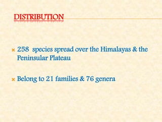 DISTRIBUTION
 258 species spread over the Himalayas & the
Peninsular Plateau
 Belong to 21 families & 76 genera
 