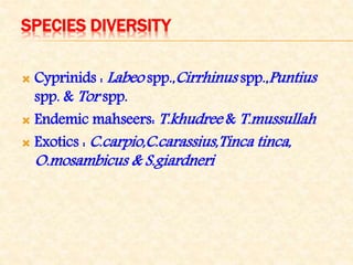 SPECIES DIVERSITY
 Cyprinids : Labeo spp.,Cirrhinus spp.,Puntius
spp. & Tor spp.
 Endemic mahseers: T.khudree & T.mussullah
 Exotics : C.carpio,C.carassius,Tinca tinca,
O.mosambicus & S.giardneri
 