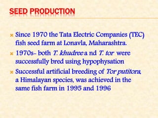 SEED PRODUCTION
 Since 1970 the Tata Electric Companies (TEC)
fish seed farm at Lonavla, Maharashtra.
 1970s- both T. khudree a nd T. tor were
successfully bred using hypophysation
 Successful artificial breeding of Tor putitora,
a Himalayan species, was achieved in the
same fish farm in 1995 and 1996
 