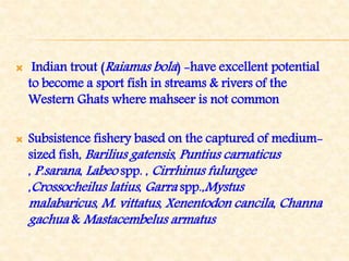 Indian trout (Raiamas bola) -have excellent potential
to become a sport fish in streams & rivers of the
Western Ghats where mahseer is not common
 Subsistence fishery based on the captured of medium-
sized fish, Barilius gatensis, Puntius carnaticus
, P.sarana, Labeo spp. , Cirrhinus fulungee
,Crossocheilus latius, Garra spp.,Mystus
malabaricus, M. vittatus, Xenentodon cancila, Channa
gachua & Mastacembelus armatus
 