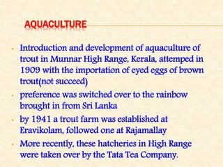 AQUACULTURE
• Introduction and development of aquaculture of
trout in Munnar High Range, Kerala, attemped in
1909 with the importation of eyed eggs of brown
trout(not succeed)
• preference was switched over to the rainbow
brought in from Sri Lanka
• by 1941 a trout farm was established at
Eravikolam, followed one at Rajamallay
• More recently, these hatcheries in High Range
were taken over by the Tata Tea Company.
 