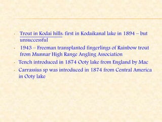 • Trout in Kodai hills: first in Kodaikanal lake in 1894 – but
unsuccessful
• 1943 – Freeman transplanted fingerlings of Rainbow trout
from Munnar High Range Angling Association
• Tench introduced in 1874 Ooty lake from England by Mac
• Carrassius sp was introduced in 1874 from Central America
in Ooty lake
 