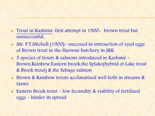  Trout in Kashmir: first attempt in 1900- brown trout but
unsuccessful.
 Mr. F.T.Michell (1900)– succeeed in introuction of eyed eggs
of Brown trout in the Harwan hatchery in J&K
 5 species of trouts & salmons introduced in Kashmir –
Brown,Rainbow,Eastern brook,the Splake(hybrid of Lake trout
& Brook trout) & the Sebago salmon
 Brown & Rainbow trouts acclimatized well both in streams &
farms
 Eastern Brook trout – low fecundity & viability of fertilized
eggs – hinder its spread
 