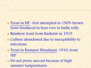  Trout in HP : first attempted in 1909-brown
trout itroduced in beas rver in kullu velly.
 Rainbow trout from Kashmir in 1919
 Culture abandoned due to susceptibility to
infections
 Trout in Kumaon Himalayas: 1910, trout
spp
 Do not prove success because of high
summer temperatures
 