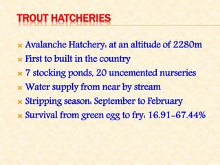 TROUT HATCHERIES
 Avalanche Hatchery: at an altitude of 2280m
 First to built in the country
 7 stocking ponds, 20 uncemented nurseries
 Water supply from near by stream
 Stripping season: September to February
 Survival from green egg to fry: 16.91-67.44%
 