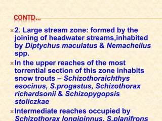 CONTD…
2. Large stream zone: formed by the
joining of headwater streams,inhabited
by Diptychus maculatus & Nemacheilus
spp.
In the upper reaches of the most
torrential section of this zone inhabits
snow trouts – Schizothoraichthys
esocinus, S.progastus, Schizothorax
richardsonii & Schizopygopsis
stoliczkae
Intermediate reaches occupied by
 