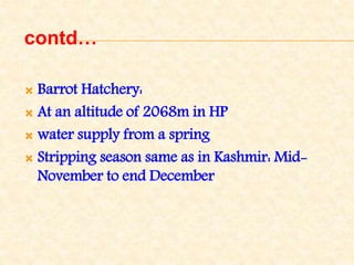 contd…
 Barrot Hatchery:
 At an altitude of 2068m in HP
 water supply from a spring
 Stripping season same as in Kashmir: Mid-
November to end December
 