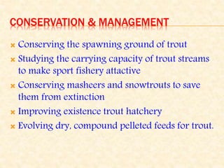 CONSERVATION & MANAGEMENT
 Conserving the spawning ground of trout
 Studying the carrying capacity of trout streams
to make sport fishery attactive
 Conserving masheers and snowtrouts to save
them from extinction
 Improving existence trout hatchery
 Evolving dry, compound pelleted feeds for trout.
 