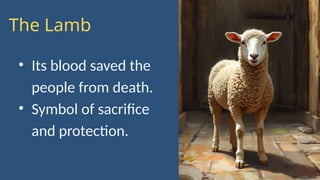 CLE 7 The Passover in Exodus and the Last Supper of Jesus with his ...