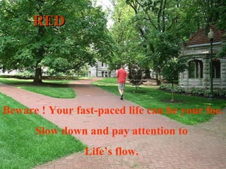 RED Beware ! Your fast-paced life can be your foe. Slow down and pay attention to  Life’s flow.  