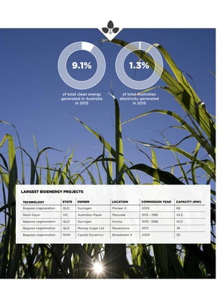 TECHNOLOGY STATE OWNER LOCATION COMMISSION YEAR CAPACITY (MW)
Bagasse cogeneration QLD Sucrogen Pioneer II 2005 68
Black liquor VIC Australian Paper Maryvale 1976 - 1989 54.5
Bagasse cogeneration QLD Sucrogen Invicta 1976 - 1996 50.5
Bagasse cogeneration QLD Mackay Sugar Ltd Racecourse 2013 38
Bagasse cogeneration NSW Capital Dynamics Broadwater II 2009 30
LARGEST BIOENERGY PROJECTS
29
9.1% 1.3%
of total clean energy
generated in Australia
in 2015
of total Australian
electricity generated
in 2015
 