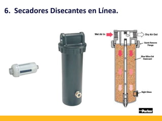 6. Secadores Disecantes en Línea.
 