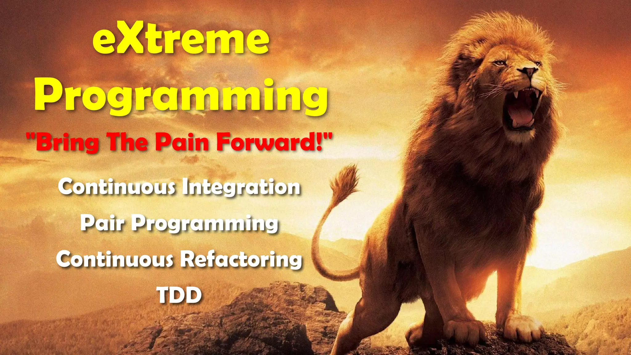 Continuous Integration
Pair Programming
Continuous Refactoring
TDD
eXtreme
Programming
"Bring The Pain Forward!"
 