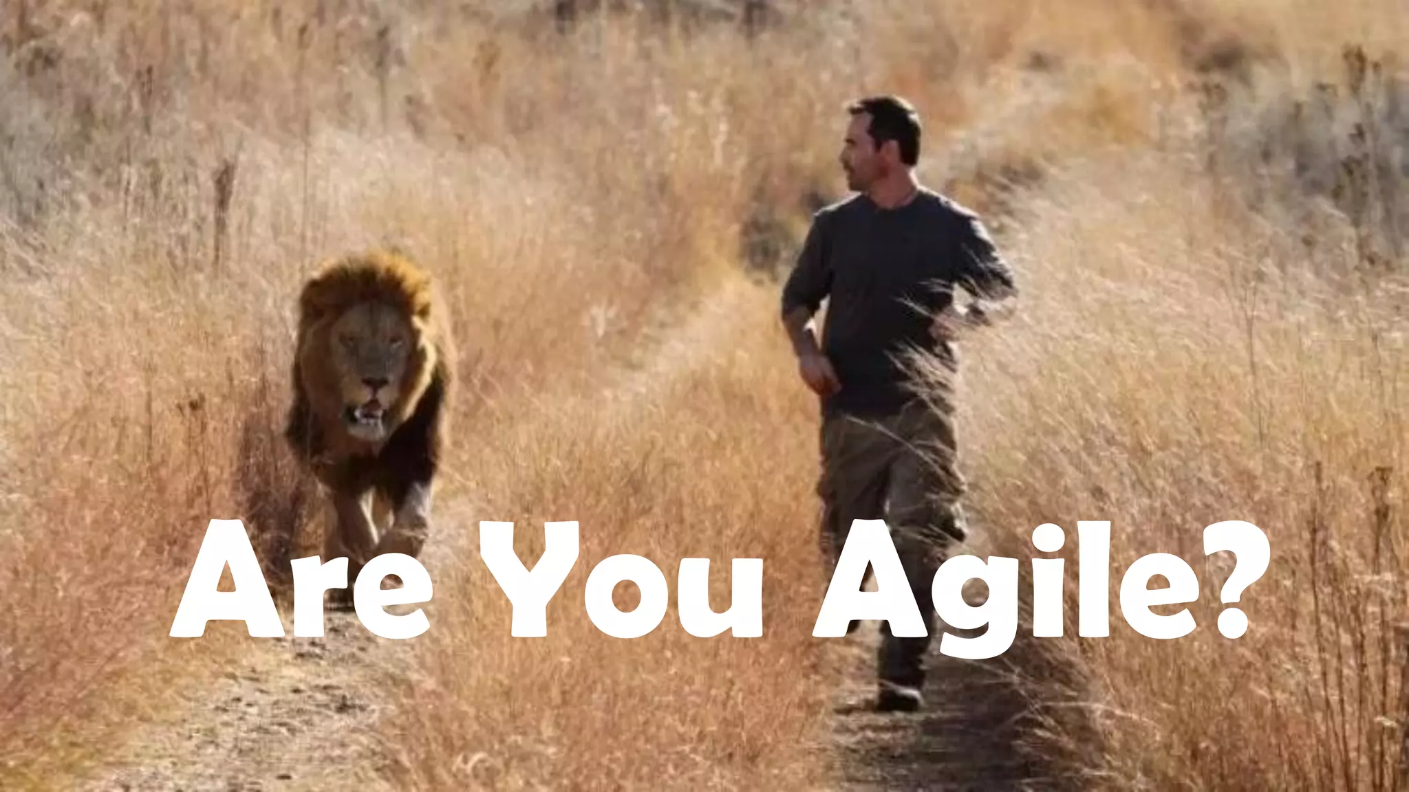 Are You Agile?
 