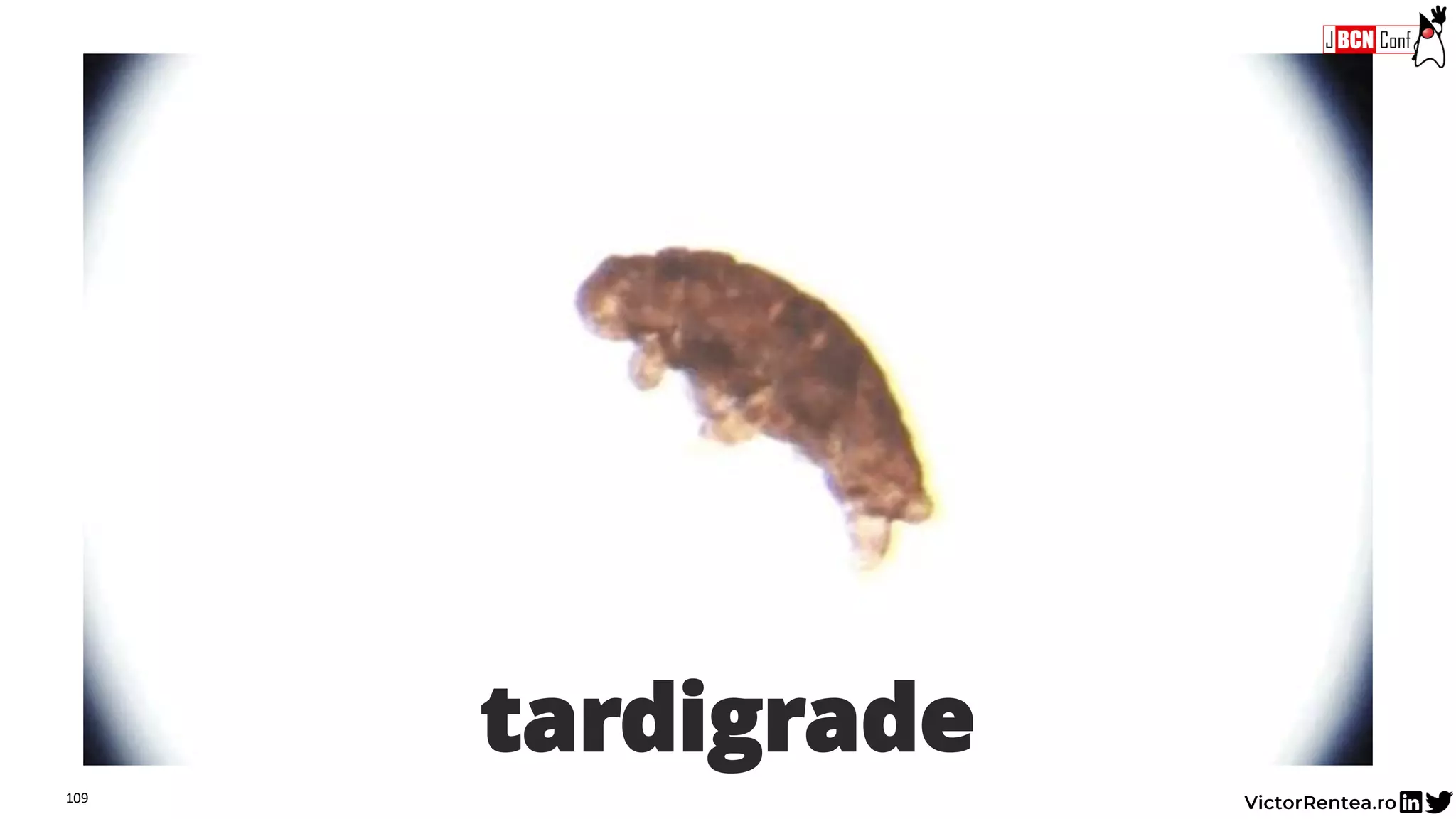 109
tardigrade
 