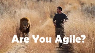 Are You Agile?
 