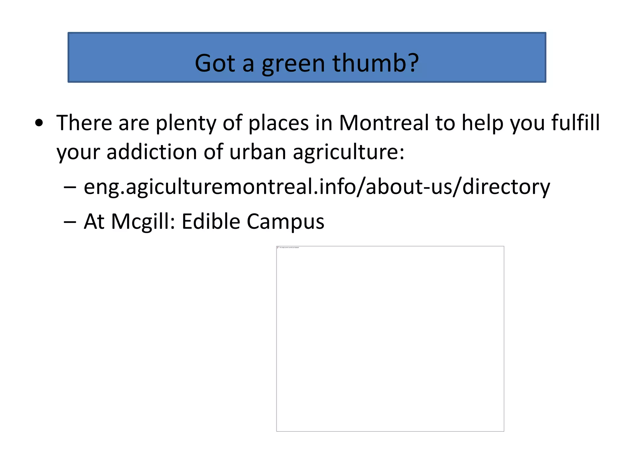 Got a green thumb?

• There are plenty of places in Montreal to help you fulfill
  your addiction of urban agriculture:
   – eng.agiculturemontreal.info/about-us/directory
   – At Mcgill: Edible Campus
 