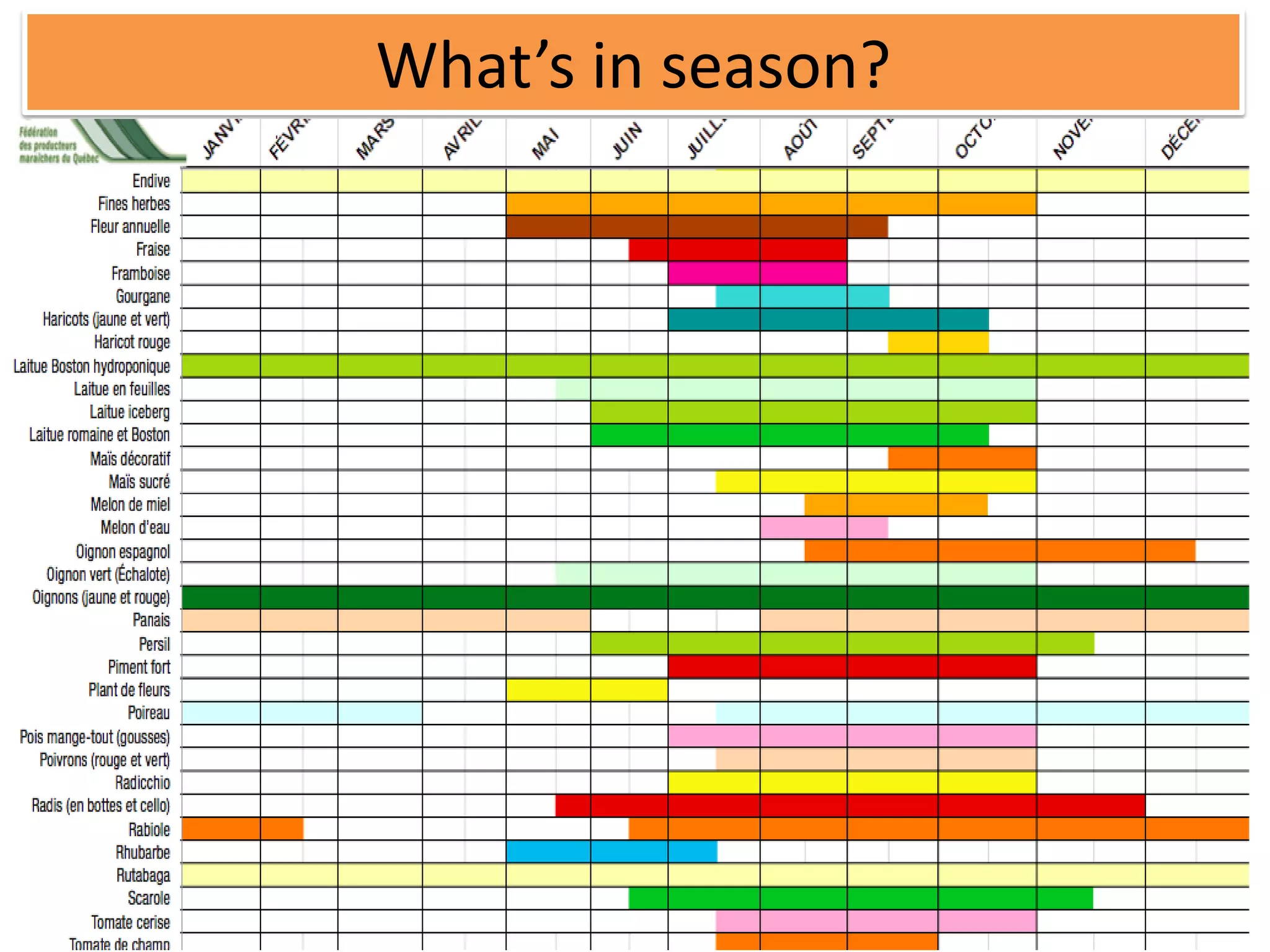 What’s in season?
 