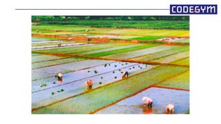 Clean code - Trở thành một lập trình viên tốt hơn