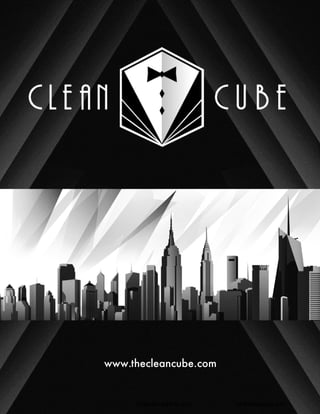 www.thecleancube.com 
1 Confidential and Proprietary info@thecleancube.com 
 