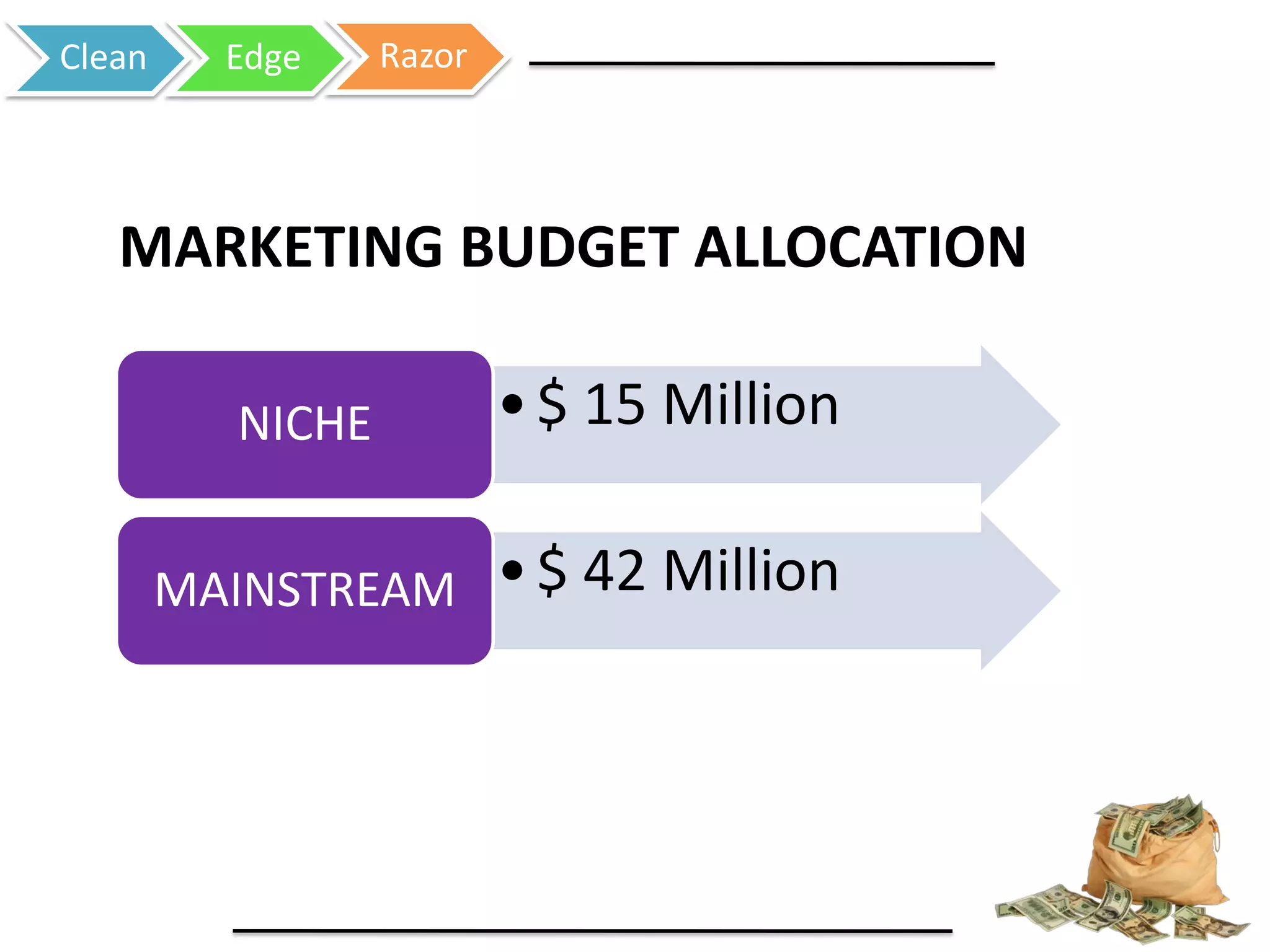 Clean Edge Razor
MARKETING BUDGET ALLOCATION
•$ 15 MillionNICHE
•$ 42 MillionMAINSTREAM
 