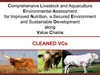 Introducing the CLEANED project