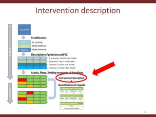 Testing the CLEANED framework in Lushoto, Tanzania