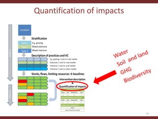 Testing the CLEANED framework in Lushoto, Tanzania
