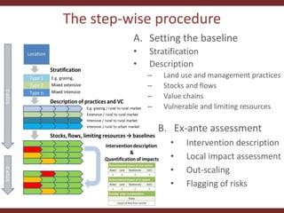Testing the CLEANED framework in Lushoto, Tanzania