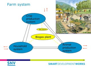 Links of the Biodigester sector with the dairy sector and environment