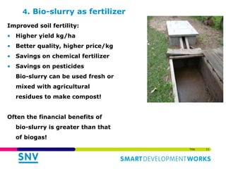 Links of the Biodigester sector with the dairy sector and environment