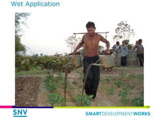 Links of the Biodigester sector with the dairy sector and environment