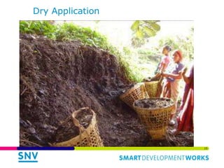 Links of the Biodigester sector with the dairy sector and environment